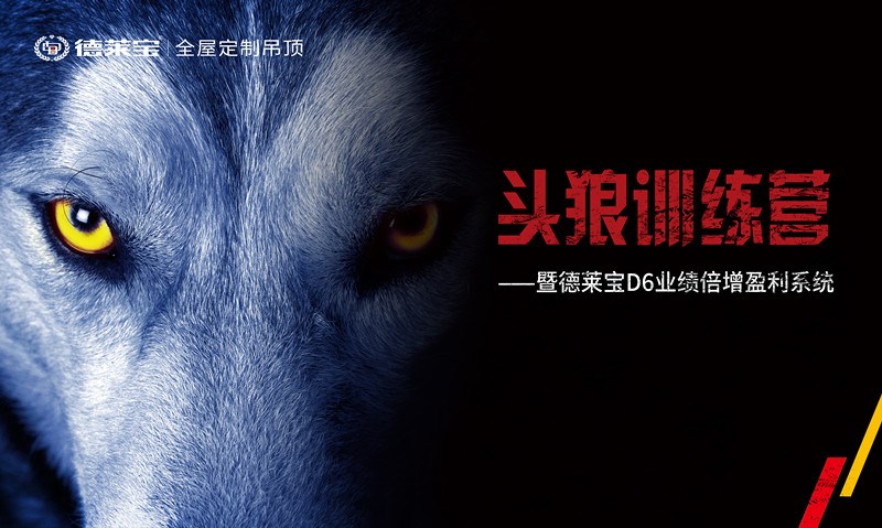 【頭狼訓(xùn)練營(yíng)】德萊寶商學(xué)院第22期培訓(xùn)會(huì)，圓滿落幕！